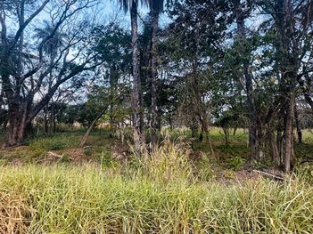 land_lot em Avenida Ary Augusto de Matos, Residencial Poços - Lagoa Santa - MG