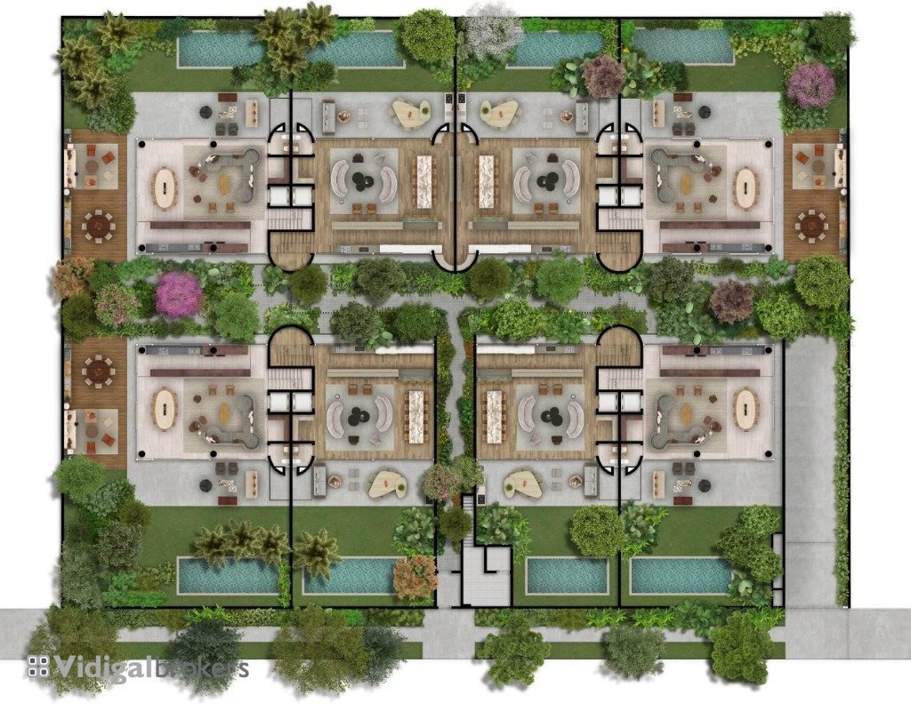 3 planta aérea