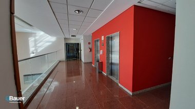 office em Antonio Artioli, Swiss Park - Campinas - SP
