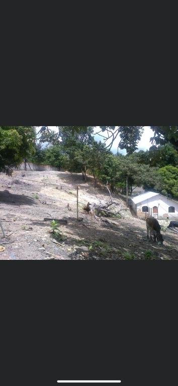| Foto_migracao | 2
