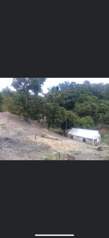 | Foto_migracao | 3