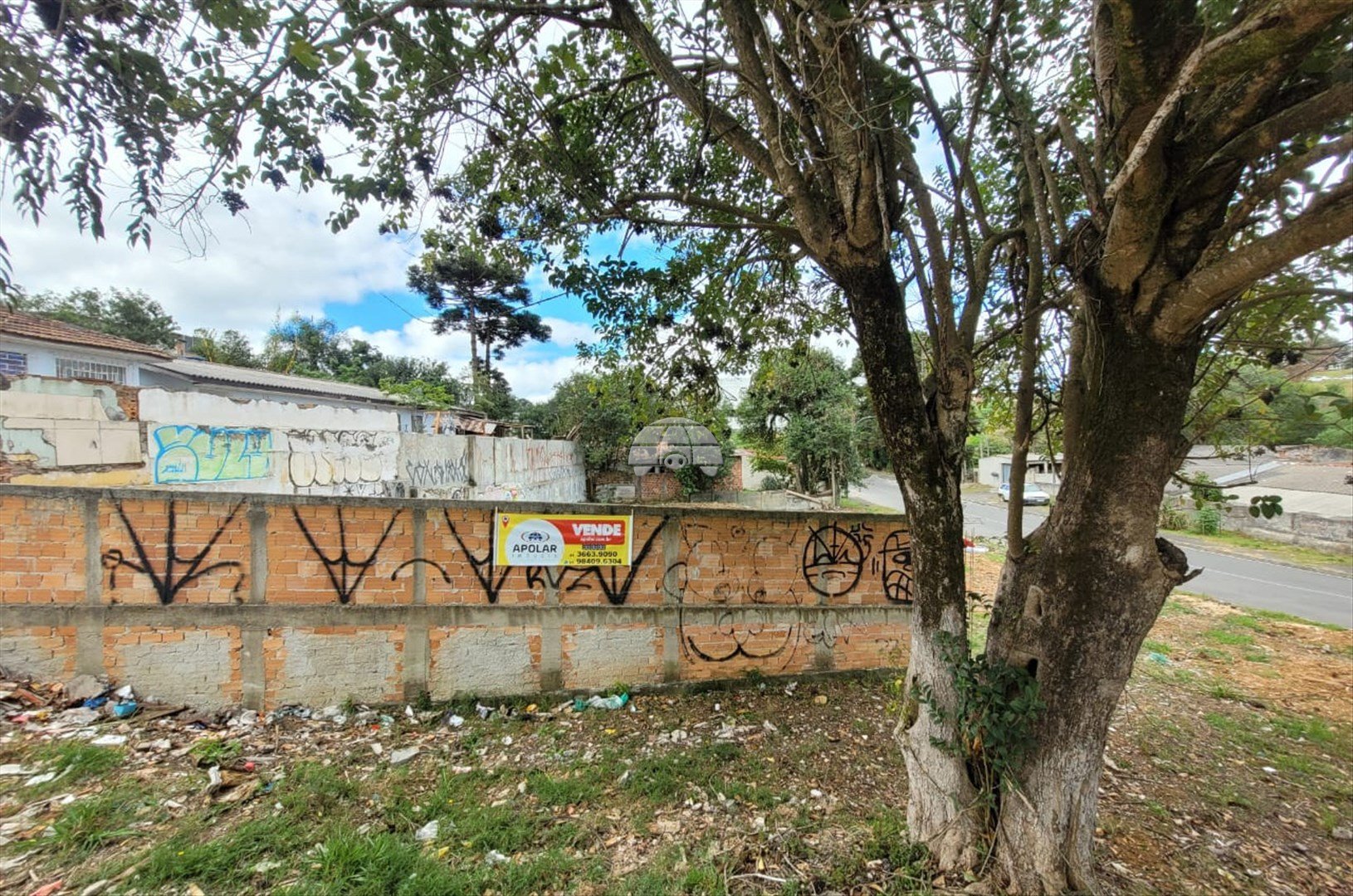 image-2