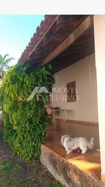 house em Rua Ubirajara Lopes, Recreio das Acácias - Ribeirão Preto - SP