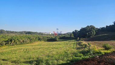 land_lot em Rodovia PR-423, Estação - Araucária - PR