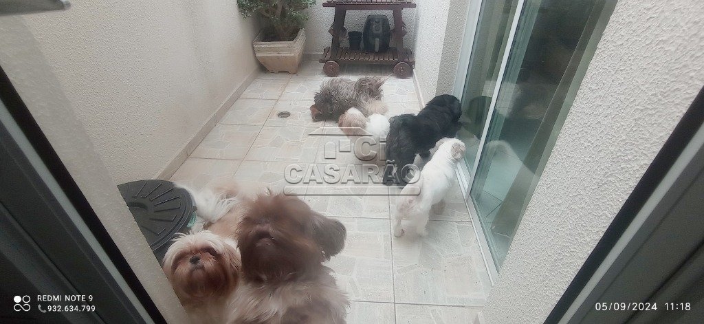 WhatsApp Image 2024-09-09 at 16.52