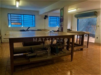 industrial em Domingos Pileggi, Jardim Santa Cecília - Limeira - SP