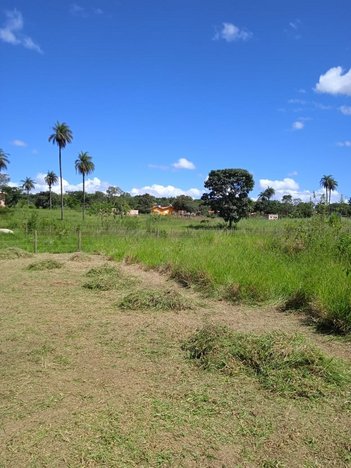 land_lot em Rodovia Mg, Centro - Sete Lagoas - MG