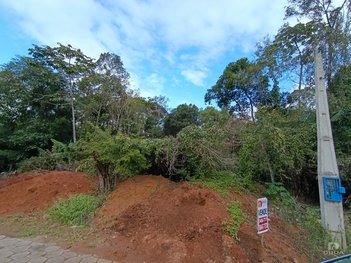 land_lot em Rua Vilmar Ademar Martins, Argentina - Criciúma - SC