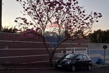 house em Rua Independência, Vila Rodrigues Alves - Botucatu - SP