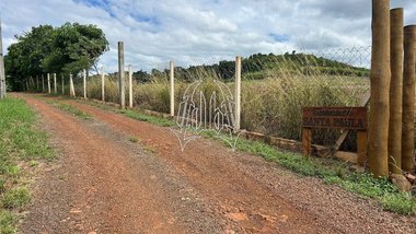 agricultural em Estrada Major Achilles Pimpão Ferreira, Jardim Vale Verde - Londrina - PR