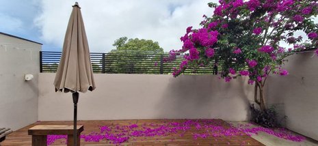 house em Rua Canela Amarela, Ribeirão da Ilha - Florianópolis - SC