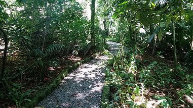 land_lot em Alameda Tumucumaque, Roseira - Mairiporã - SP