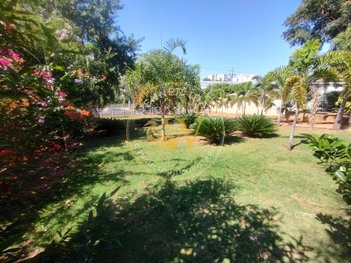 house em Rua Doutor Presciliano Pinto, Boa Vista - São José do Rio Preto - SP