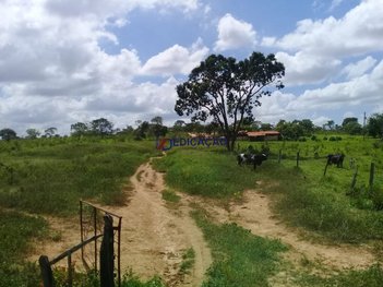 agricultural em Rua Três Marias, Corinto - Corinto - MG
