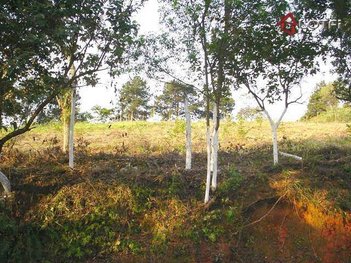 land_lot em Rua das Tulipas, Chácara Vale do Rio Cotia - Carapicuíba - SP