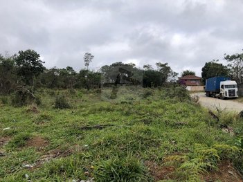 land_lot em Rua Nhonhô de Lima, Vila São Pedro - Suzano - SP