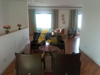 business em Avenida Araucária, Parque Oratório - Santo André - SP