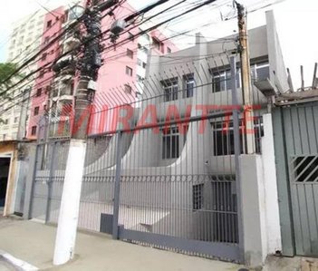 business em Mauro, Saúde - São Paulo - SP