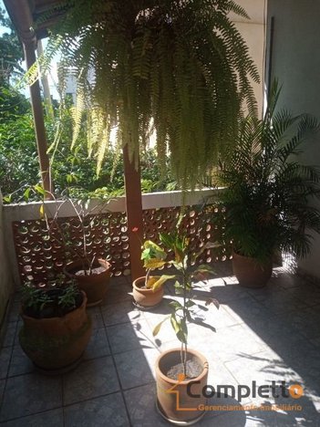 house em Rua Professora Francisca Piragibe, Taquara - Rio de Janeiro - RJ