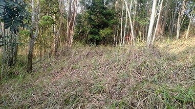 land_lot em Rua José Maria Lisboa, Jardim Paulista - São Paulo - SP