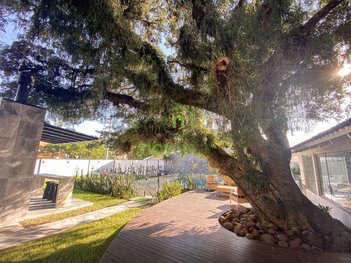 apartment em Tapes, Pinheiro - São Leopoldo - RS