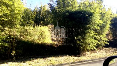 land_lot em Rua Marina Moscardi Nishiyama, Morada das Nascentes (Joaquim Egídio) - Campinas - SP