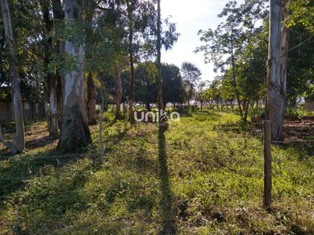 land_lot em Rua Araranguá, Caverazinho - Araranguá - SC