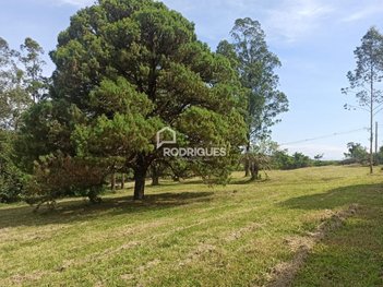agricultural em Estrada Morro do Paula, Fazenda São Borja - São Leopoldo - RS