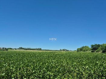 commercial_building em Rodovia Sp 308,, Centro - Piracicaba - SP