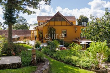 agricultural em Rua Miguel Krizanoski, Tanguá - Almirante Tamandaré - PR