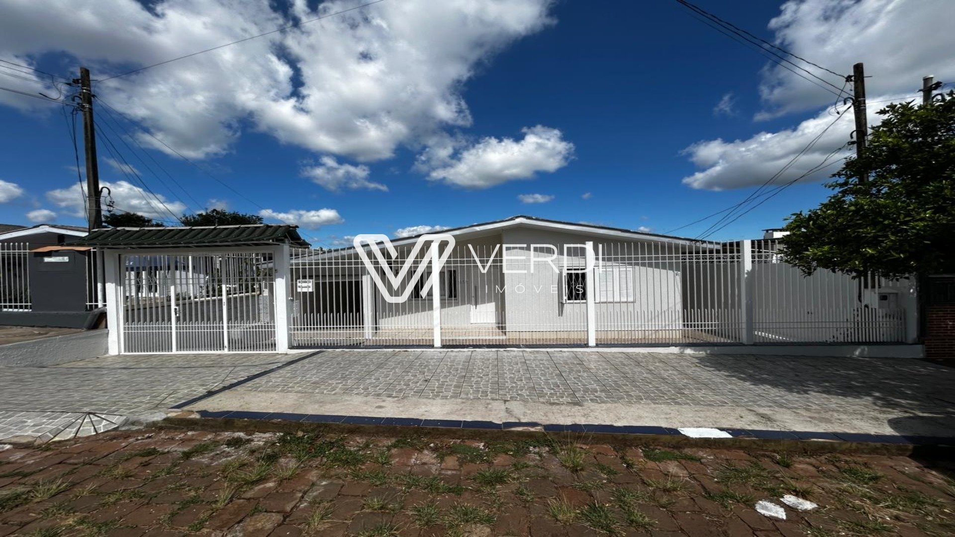 WhatsApp Image 2025-02-24 at 15.10