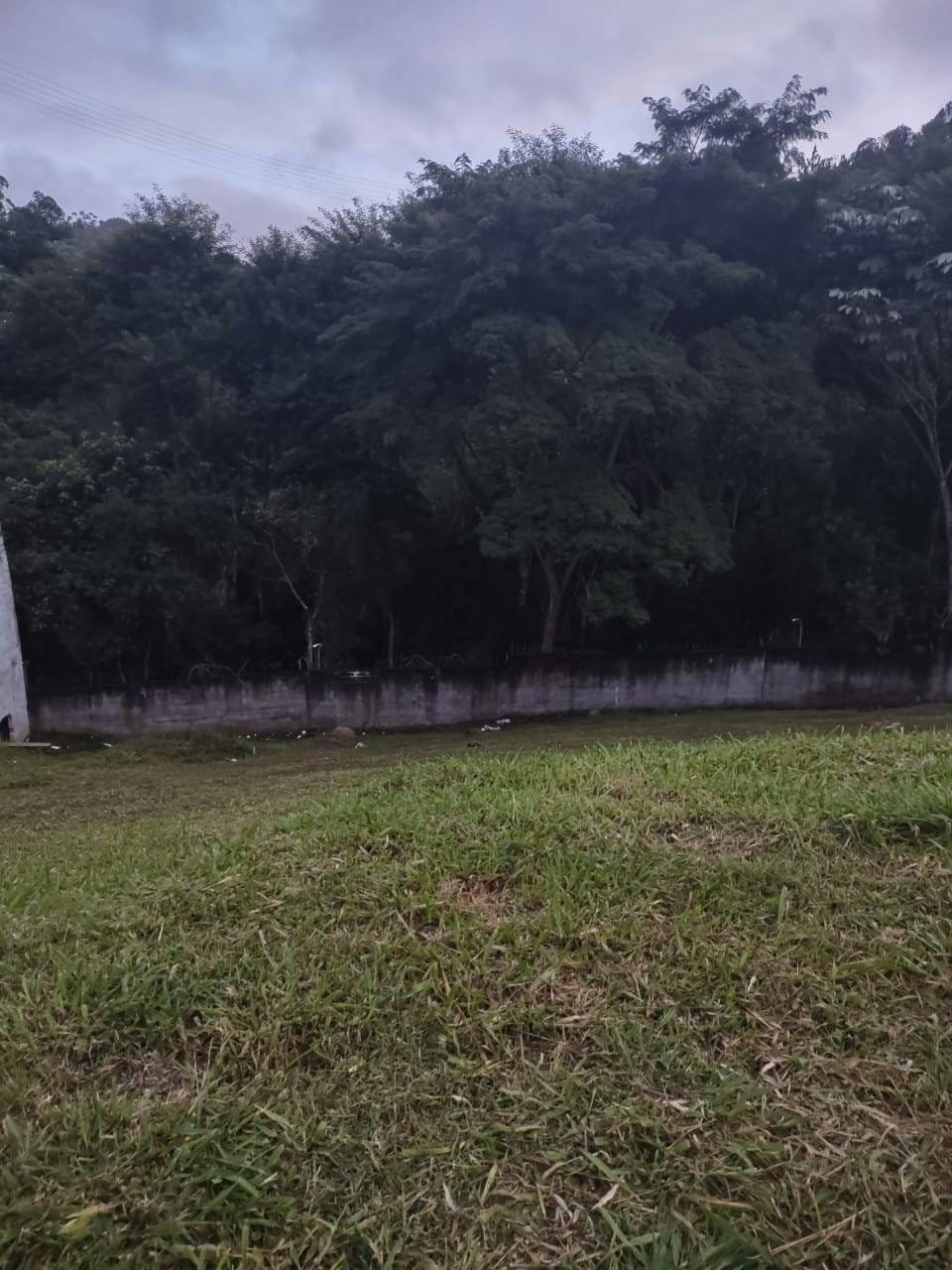 image-0
