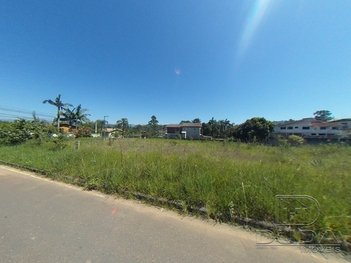 land_lot em Rua Clarinda Milioli de Luca, Mina do Mato - Criciúma - SC