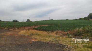 agricultural em Avenida Antônio Santiago Gualda, Distrito de Floriano (Floriano) - Maringá - PR