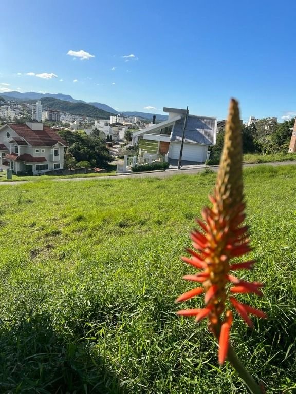 Terreno à venda no bairro Pedra Branca, Palhoça por 4k Imóveis.