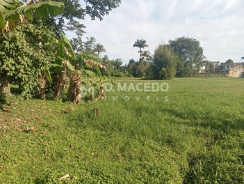 land_lot em Rua Palmares, Lagoinha - Ubatuba - SP