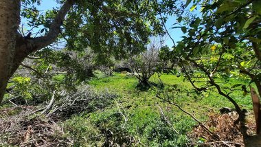 land_lot em Servidão Pedro Manoel Borba, Pântano do Sul - Florianópolis - SC