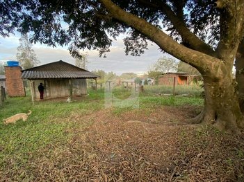 land_lot em Rua Palmitinho, Passo Taquara - Capela de Santana - RS