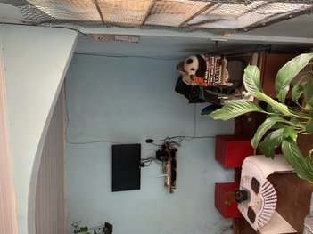 house em Rua Esquel, Jardim Imbé - São Paulo - SP