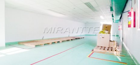 commercial_property em Mundo Novo, Vila Anglo Brasileira - São Paulo - SP