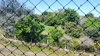 apartment em Romeu Samarani Ferreira, Vila Nova - Porto Alegre - RS
