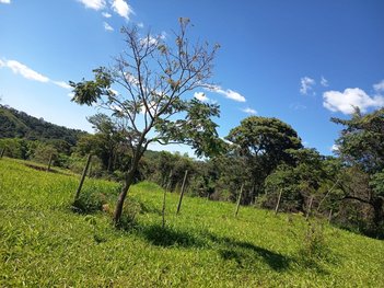 land_lot em Avenida Um, Gran Park - Vespasiano - MG