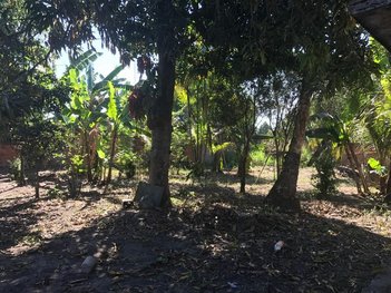 agricultural em Avenida 14, Nova Campinas - Duque de Caxias - RJ