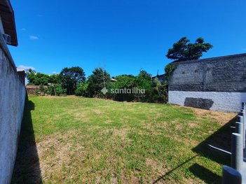 land_lot em Servidão Alfredo Manoel Vieira, Morro das Pedras - Florianópolis - SC