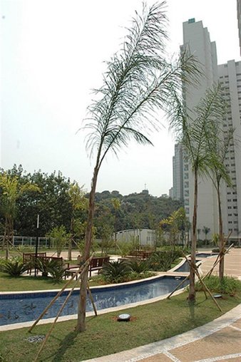 Cômodo Condomínio