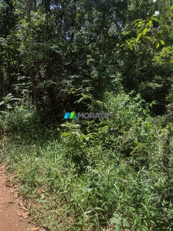 land_lot em Avenida Vinte e Dois, Melo Viana - Esmeraldas - MG