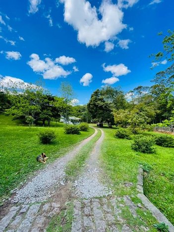 agricultural em Rua Noé Pirola, Vila Floresta II - Criciúma - SC