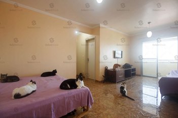 apartment em Rua Anita Franchini, Santa Terezinha - São Bernardo do Campo - SP