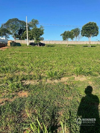 land_lot em Rua Rio Javali, Centro - Porto Rico - PR