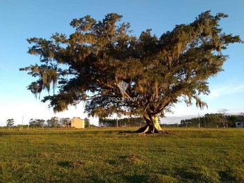 agricultural em Estrada Geral, Vila Santa Catarina - São João do Sul - SC